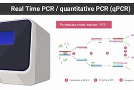 Image result for qRT-PCR