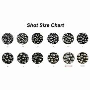 Image result for Shotgun Shot Size Comparison Chart