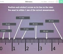 Image result for Things That Are the Size of a Millimeter