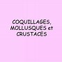 Image result for Coque Molusque