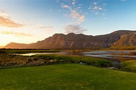Image result for Stanford South Africa