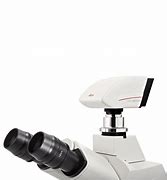 Image result for Leica Camera Microscope