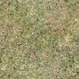 Image result for Sandy Grass Texture