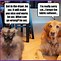 Image result for Really Funny Cats and Dogs