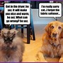 Image result for Dog Cat Love Meme