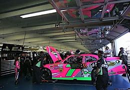 Image result for Pink NASCAR Logo