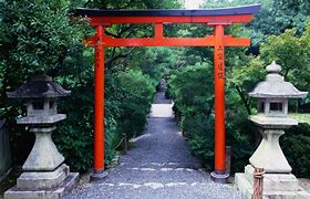 Image result for japanese shrines