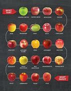 Image result for apples varieties flavor