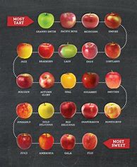 Image result for apples variety by seasons