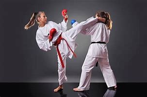 Image result for Karate Fighting