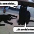 Image result for Crazy Cat Guy Meme