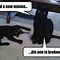 Image result for Roblox Funny Cat Memes