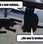 Image result for MA Weird Cat Meme