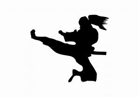 Image result for MMA Silhouette