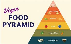 Image result for Food Pyramid for Vegetarians