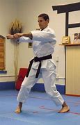 Image result for Shotokan Karate Kicks