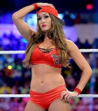 Image result for WWE Nikki Bella vs Alicia Fox