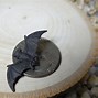 Image result for Minature Bat