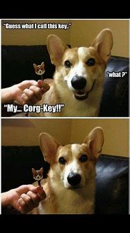Image result for Animal Dad Jokes