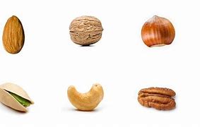 Image result for Common Tree Nuts