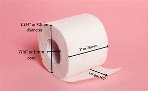 Image result for Us Toilet Paper Roll Size