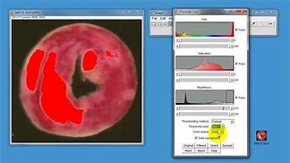 Image result for ImageJ Software Icon