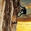 Image result for Mountain Climbing Adventures
