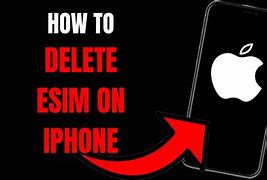 Image result for Delete Esim in iPhone