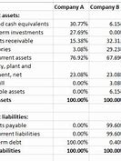 Image result for Common Size Balance Sheet Statement Example