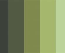 Image result for Swamp Color Palette
