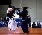 Image result for Martial Arts Techniques