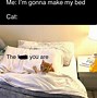 Image result for Need Weekend Meme Cat