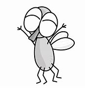 Image result for Fly Bug