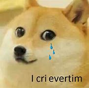 Image result for Crying Doge Meme