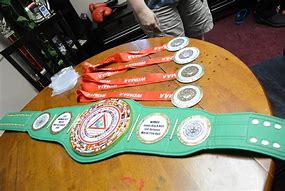 Image result for Toy Championship Belt