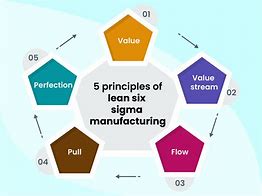 Image result for Lean Six Sigma Principles