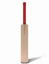 Image result for Kids Cartoon Cricket Bat