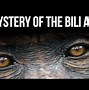 Image result for Bili Ape Discovery