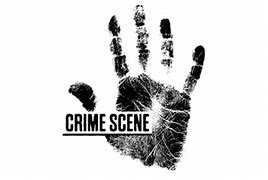 Image result for Crime Scene Diver