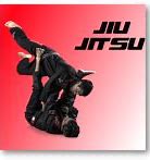 Image result for Jiu Jitsu Basic Techniques