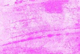 Image result for Bleached Grunge Wall Texture
