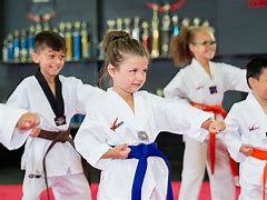 Image result for Martial Arts for Kids in Near Grand Ledge