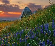 Image result for Most Beautiful Landscape Pictures