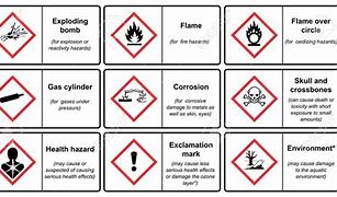 Image result for Globally Harmonized System Pictograms