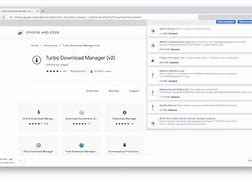 Image result for Download Manager Chrome Extension