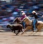 Image result for Cody Wyoming Rodeo