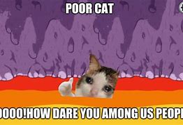 Image result for Among Us Cat Meme