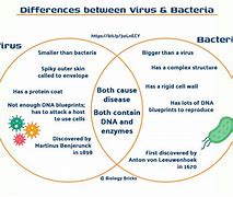 Image result for Difference Between Virus and Bacteria