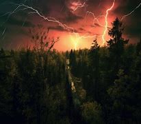 Image result for Lightning Strike in Forest