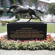 Image result for Belmont Stakes Horses and Odds
